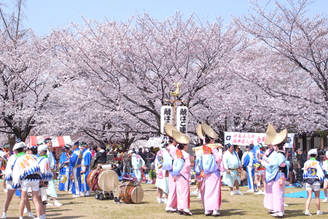 各務原市桜まつり 各務原市観光協会